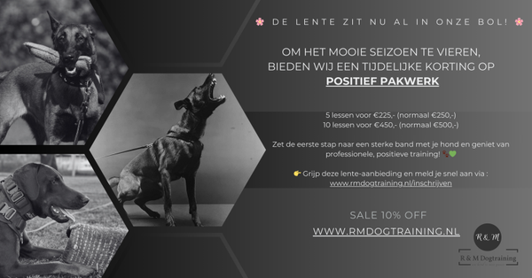 10 Sessies Modern Positief Pakwerk (Bijtwerk)