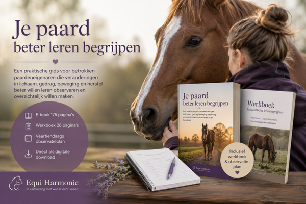 Je paard beter leren begrijpen – e-book + observatiewerkboek