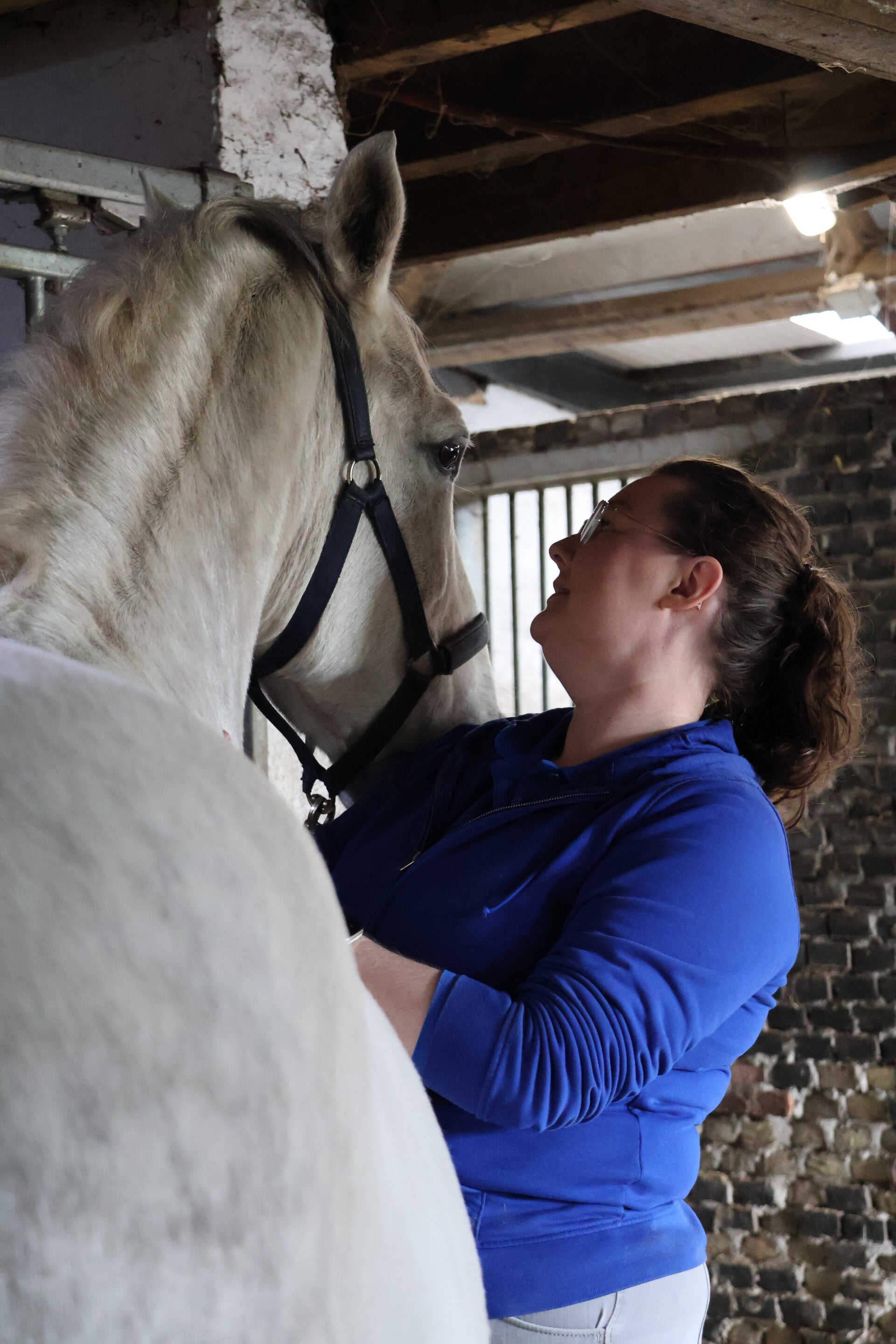 Paardencommunicatie Consult