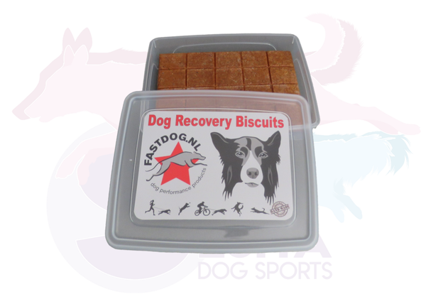 Fastdog Bewaardoos Recovery Biscuits