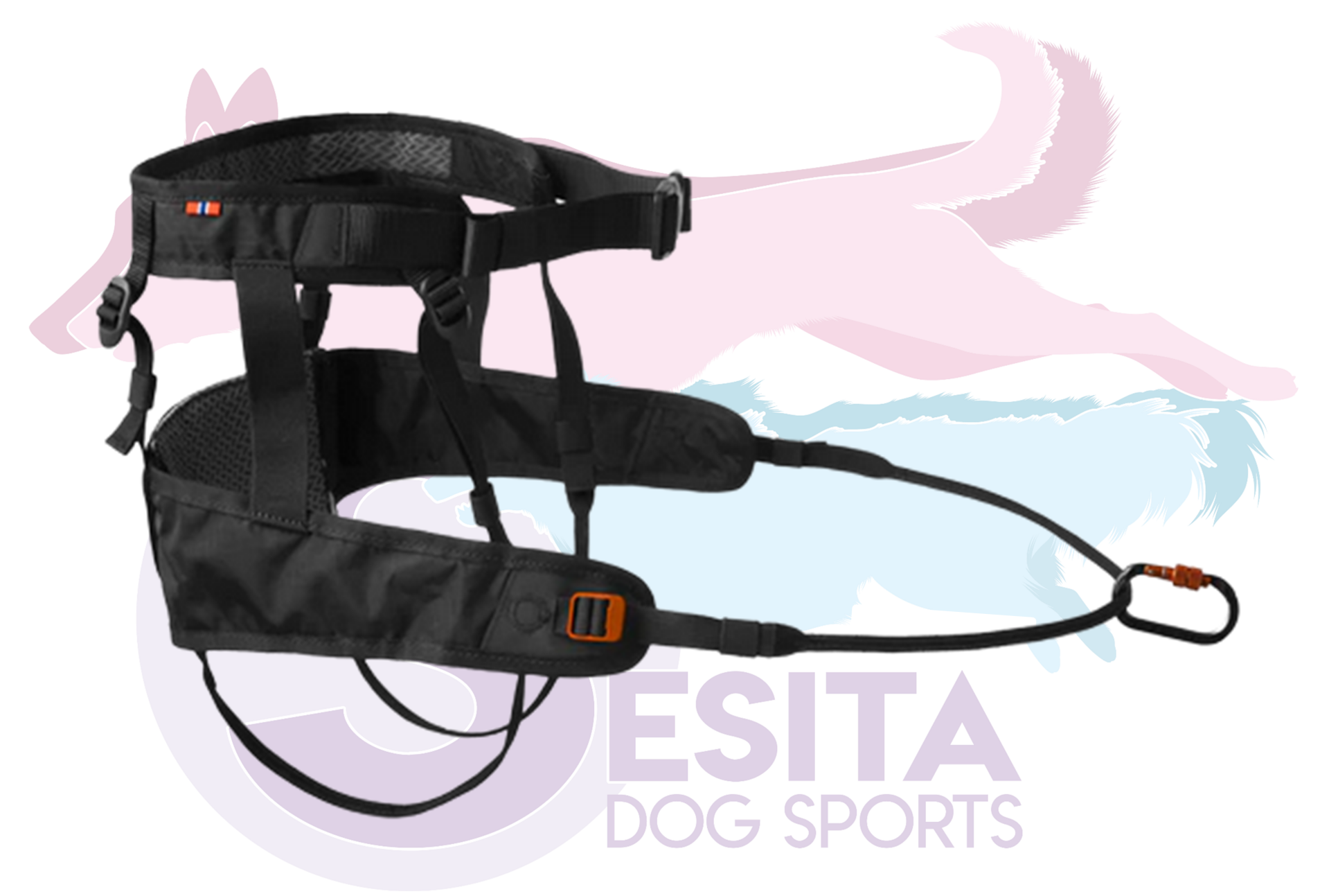 Non Stop CaniX Belt 2.0