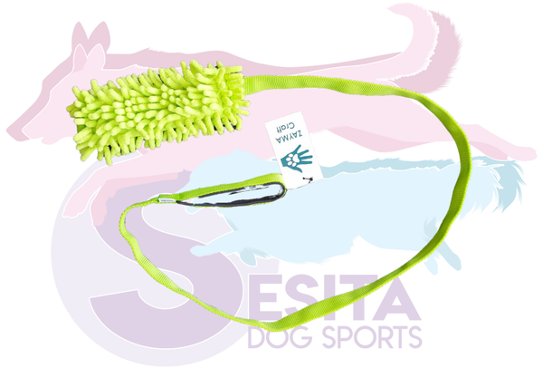 Zaya Craft mop met lang handvat