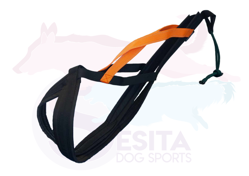 Orange Crush X back- op voorraad