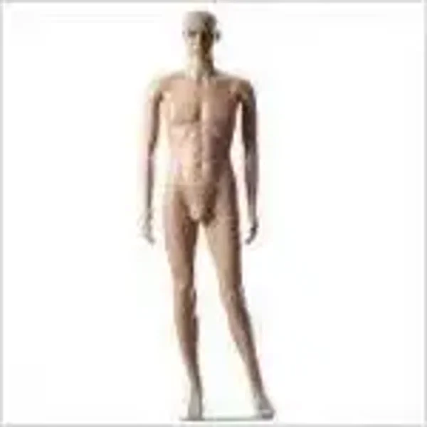 Mannequin männlich