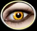 Red Yellow