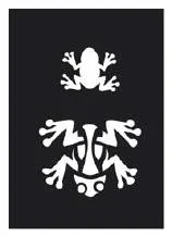 Frosch