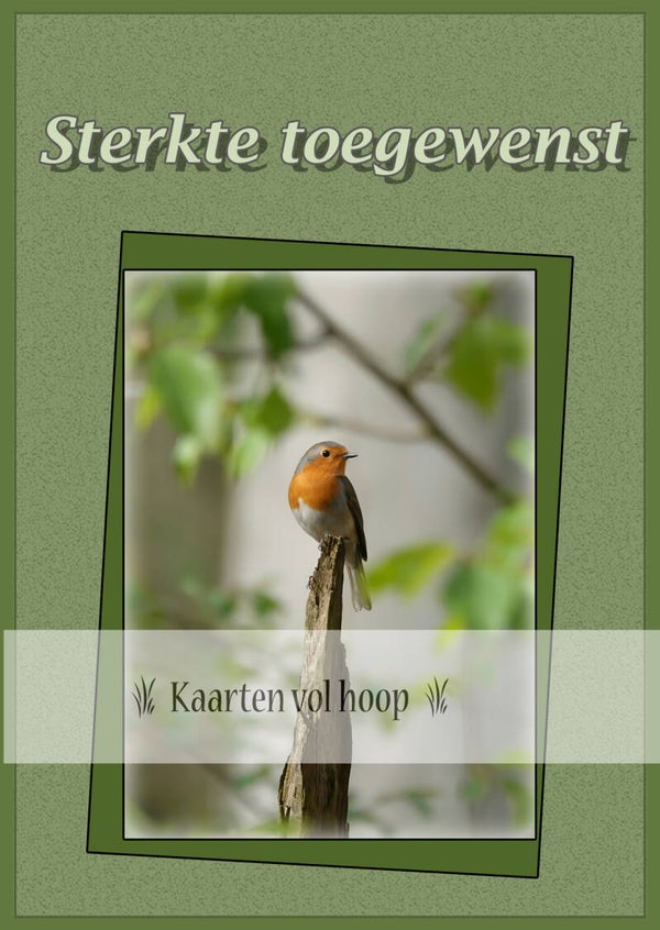 Sterkte