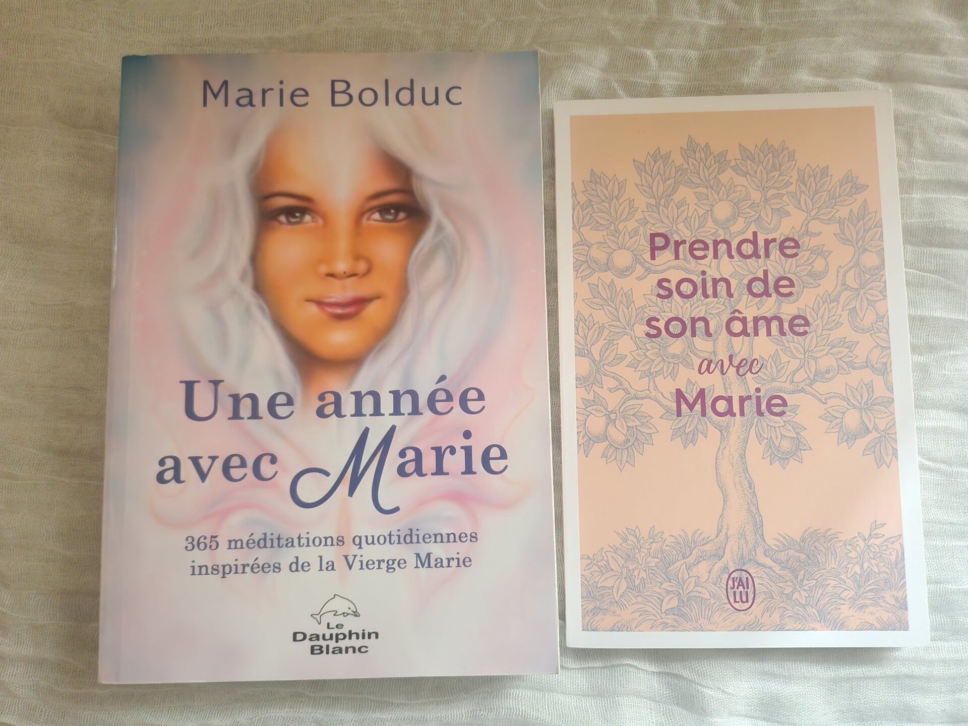 Lot spirituel – Une année avec Marie + livret “Prendre soin de son âme avec Marie”