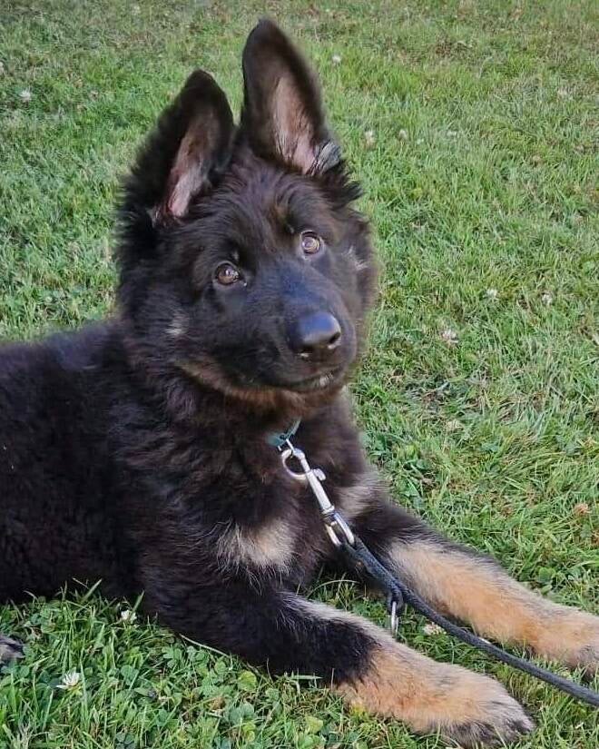 Ça grandi trop vite !