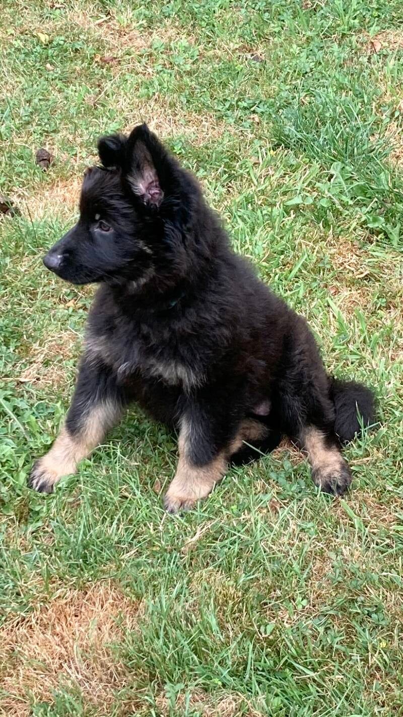 A son arrivée à la maison