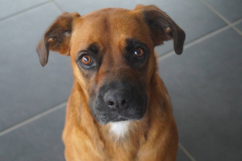 Pose pour l’objectif 