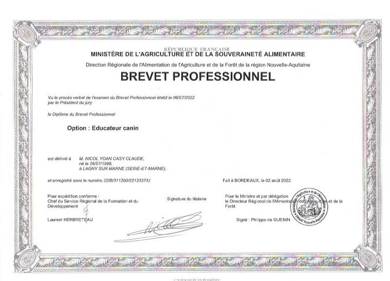 Mon diplome du BP éducateur canin