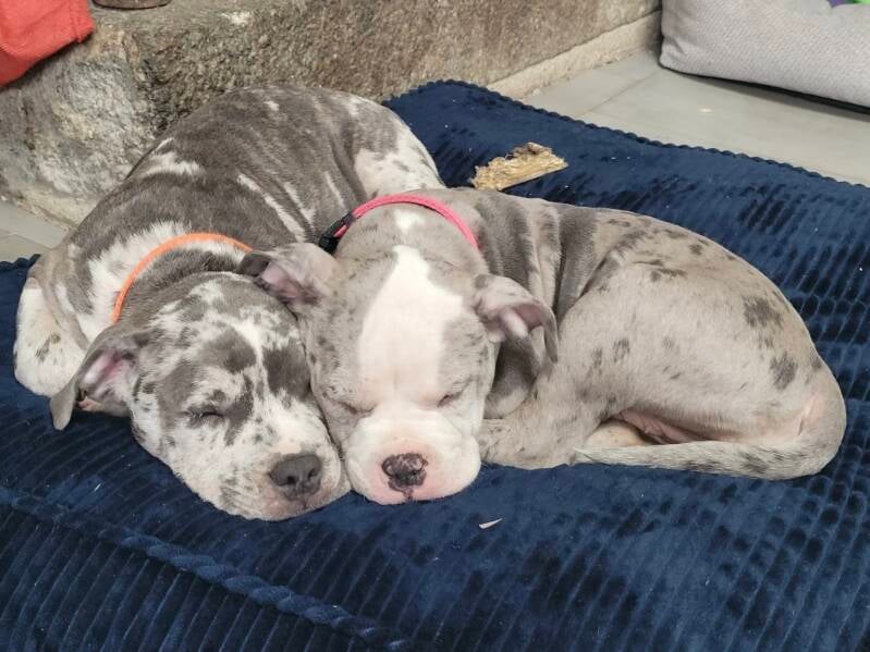 Seith &amp; Princess