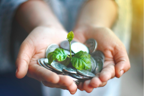 Hender som holder mynter med en liten grønn plante som vokser ut av dem.