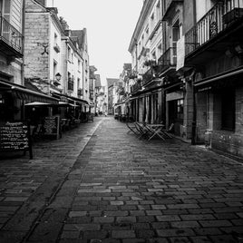 20102022-dsc_7440jpg.jpg