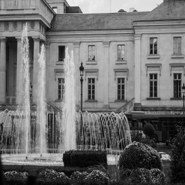 20102022-dsc_7524jpg-1.jpg