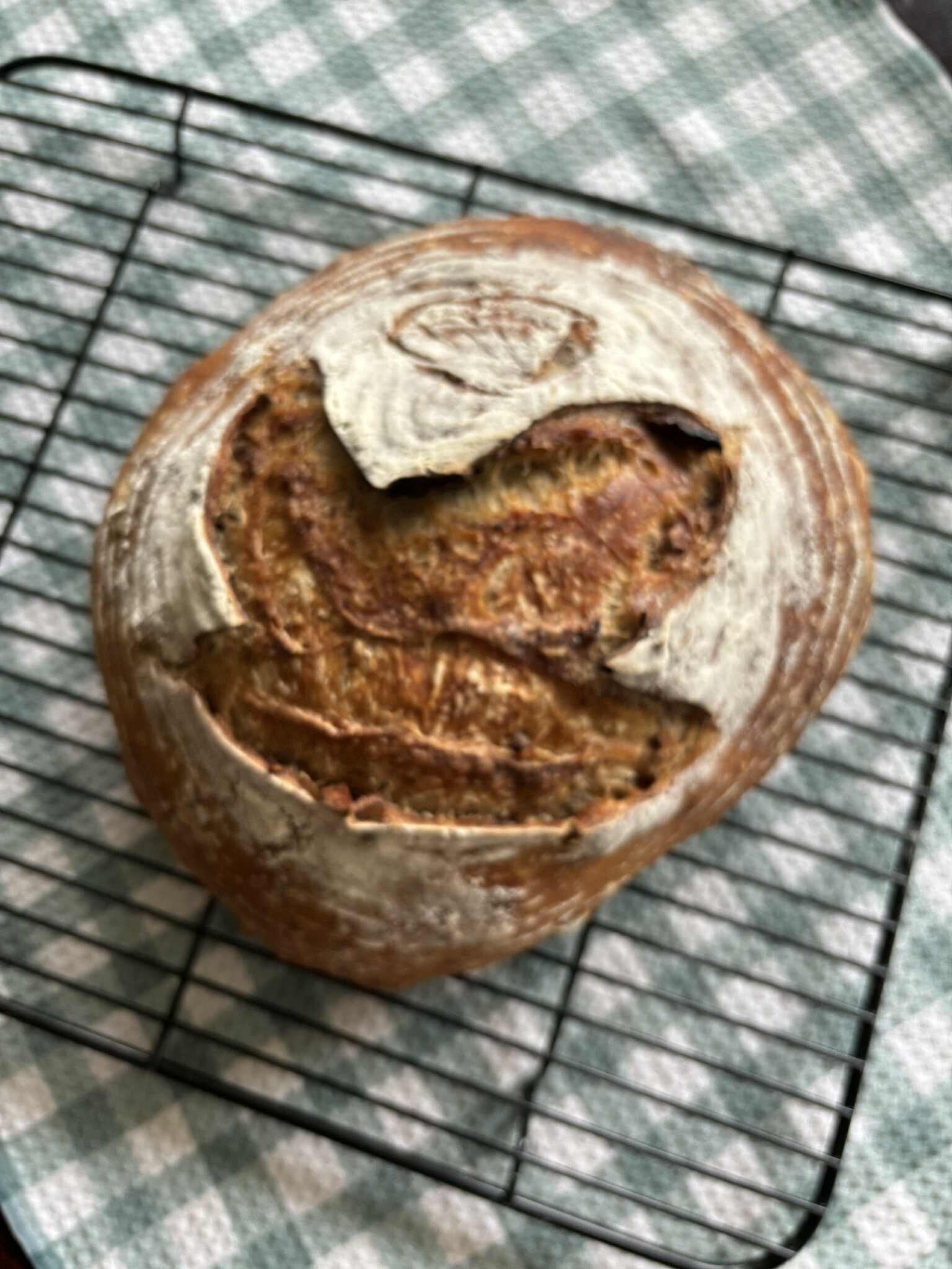 Rustic Fig and Walnut