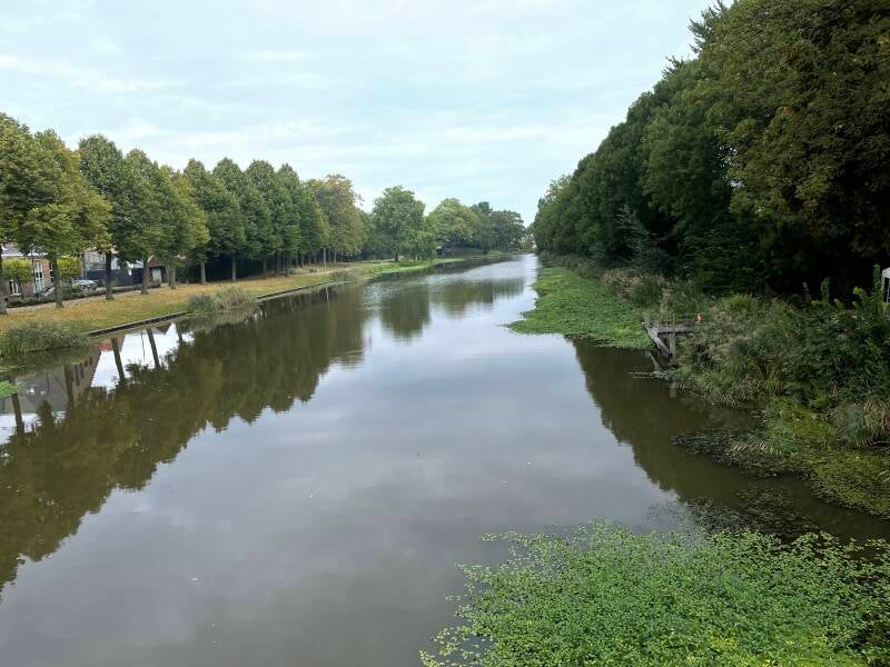 220912dokkum2jpg-1.jpg