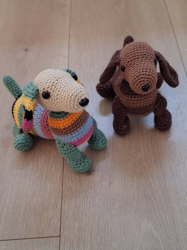 Teckel hondje