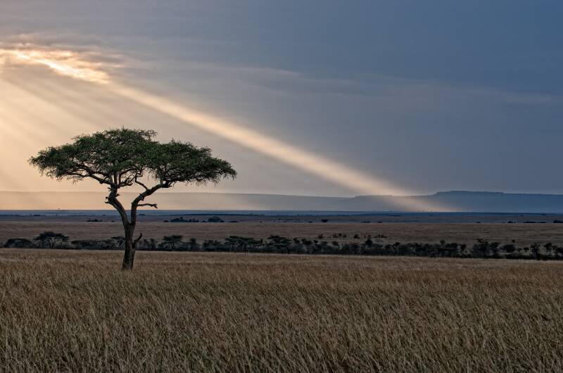 Marcel Romdane piloting a Super Cub over Kenya near Naivasha slums — audiobook scene from ‘Almost Slaughtered in the Ghetto,’ dark humour bush-pilot memoir ‘What Could Possibly Go Wrong?’ — survival flying, low pass before landing on wildlife-packed airst