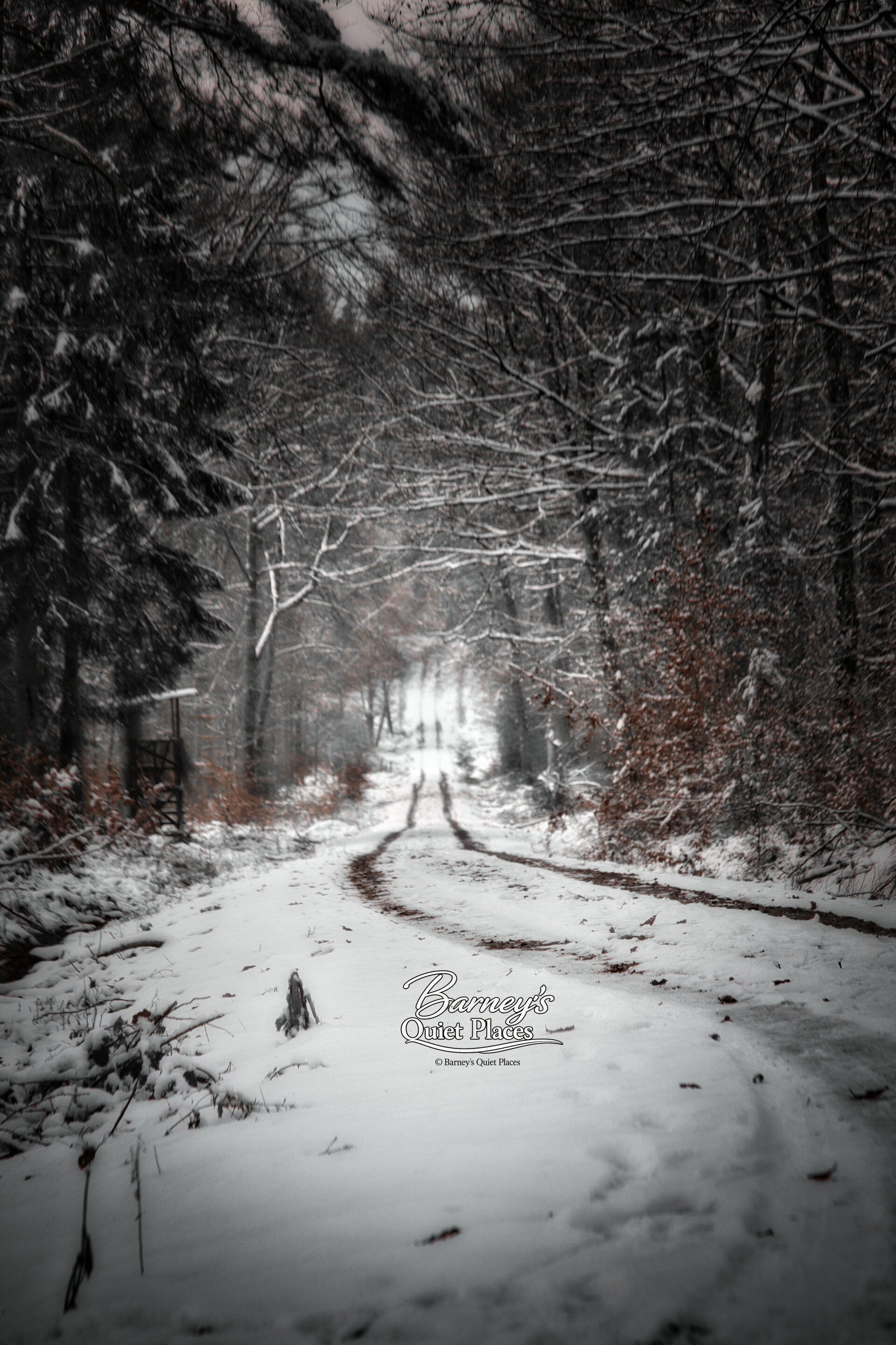 Winterpfad