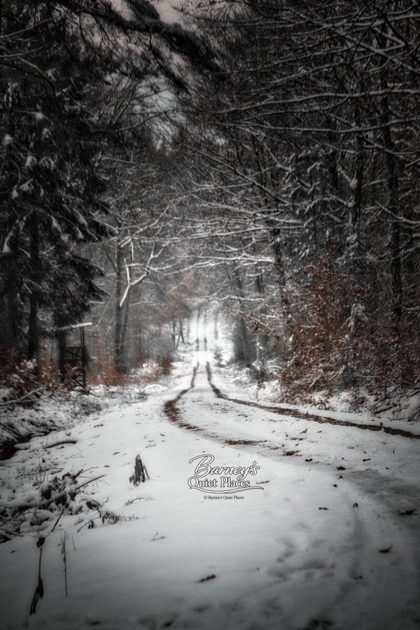 Winterpfad