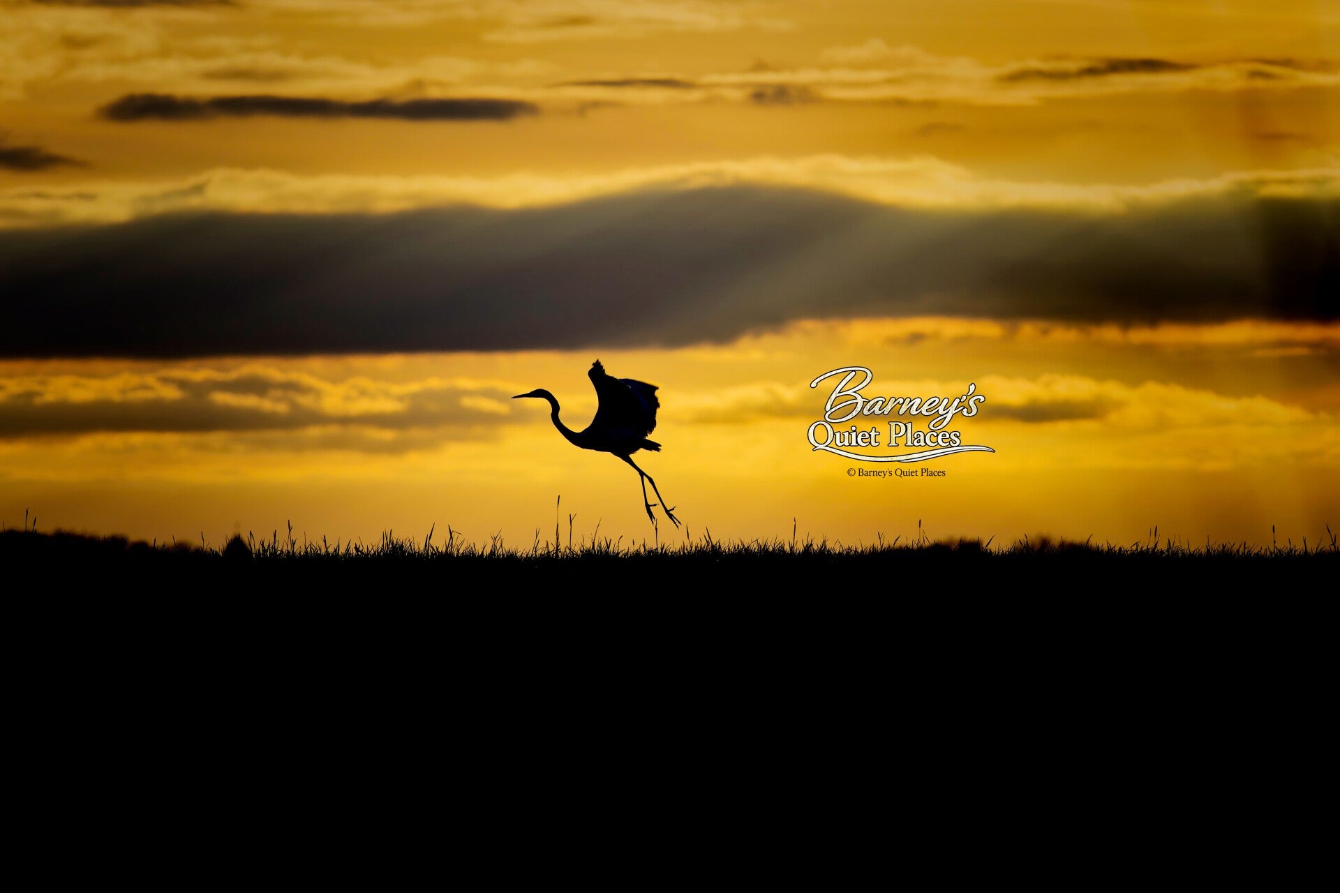 Silhouette im Abendlicht