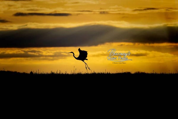 Silhouette im Abendlicht