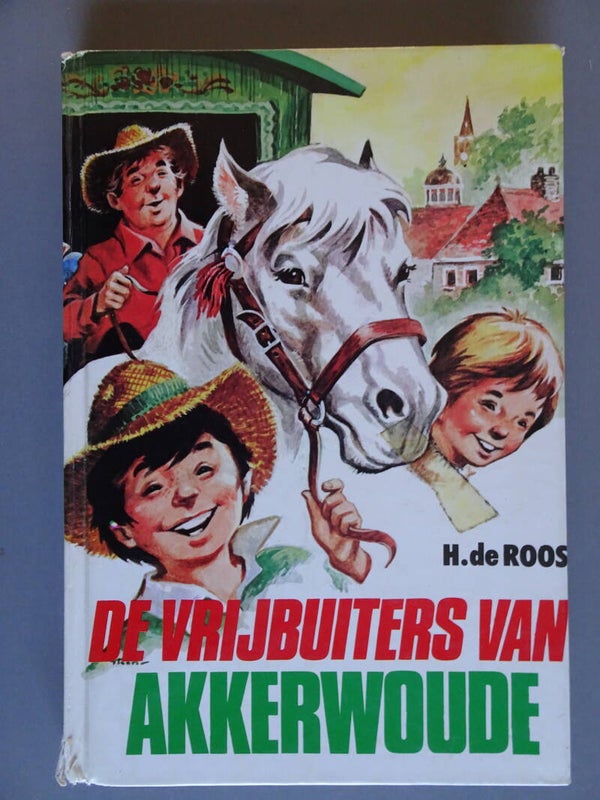 JBJ - De vrijbuiters van Akkerwoude