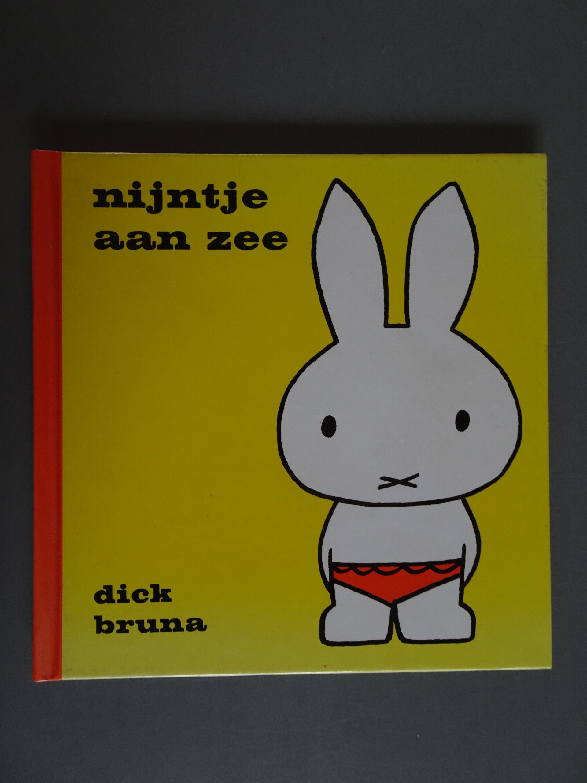 Nijntje 19 - Nijntje aan zee