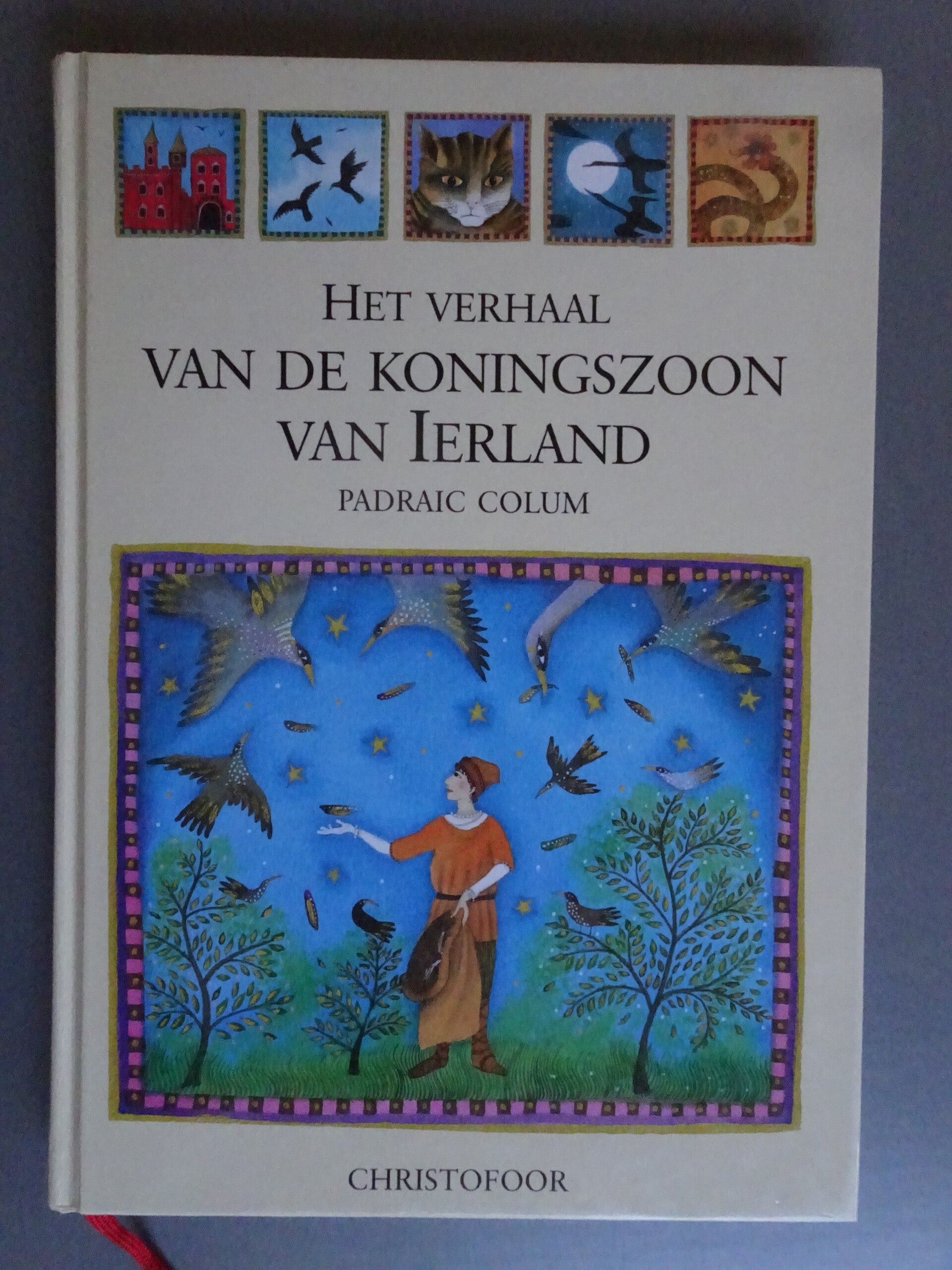 KIN - Het verhaal van de koningszoon van Ierland