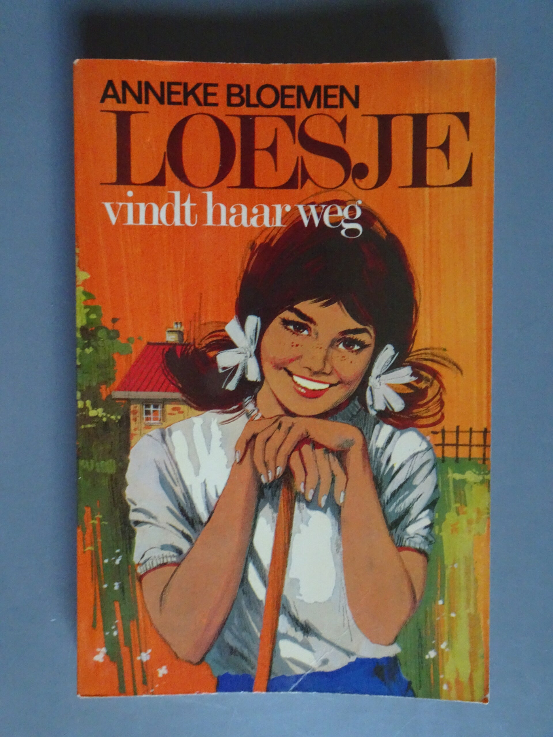 JBM - Loesje vindt haar weg - Deel 6