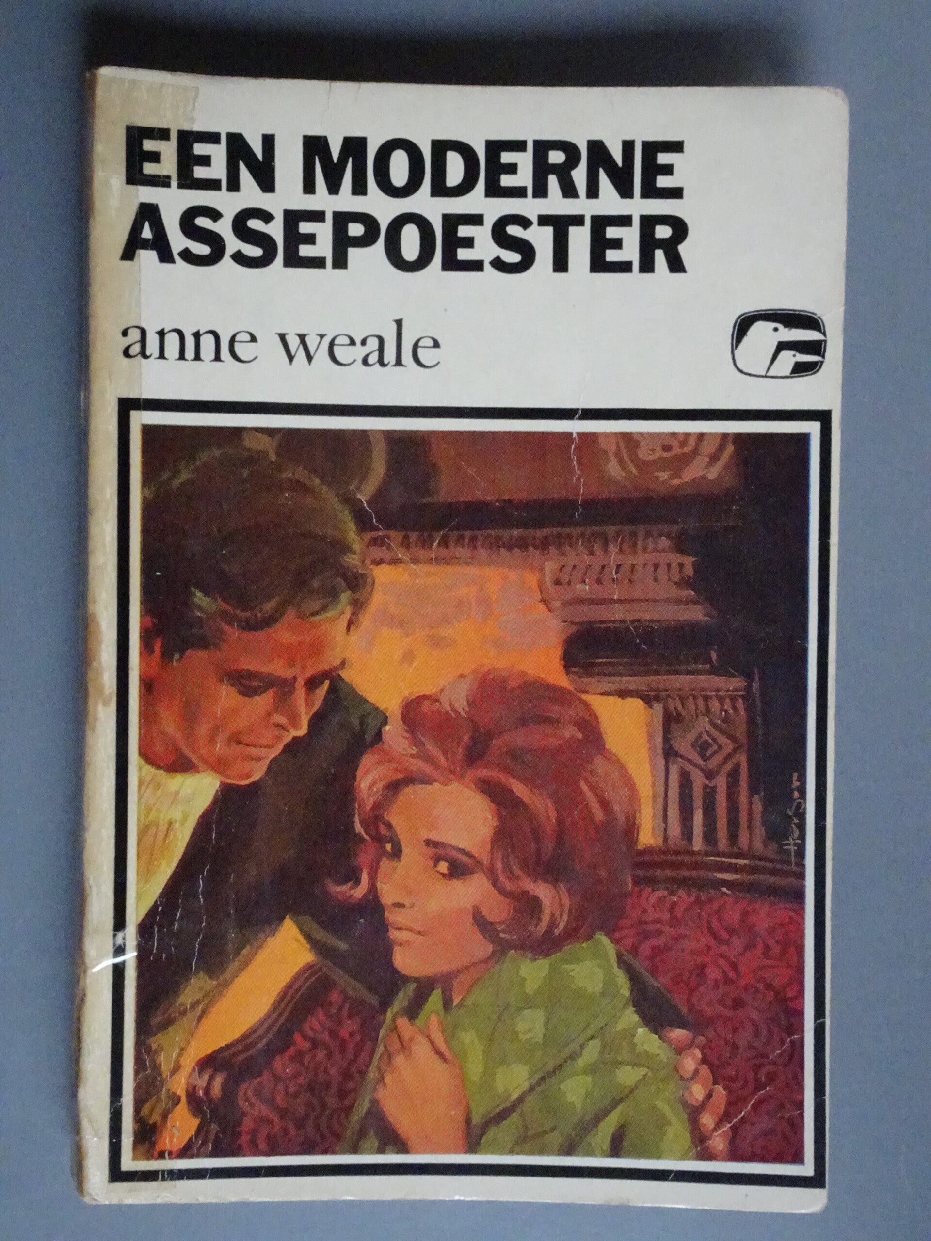 M0000 - S161 Een moderne assepoester
