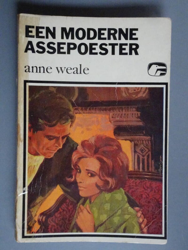 M0000 - S161 Een moderne assepoester