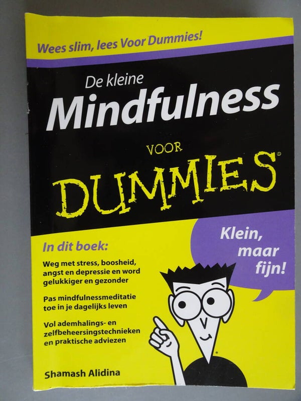 De kleine Mindfulness voor Dummies