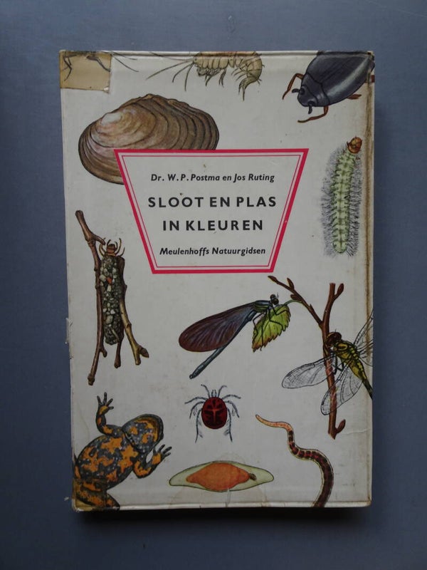 Sloot en Plas in kleuren