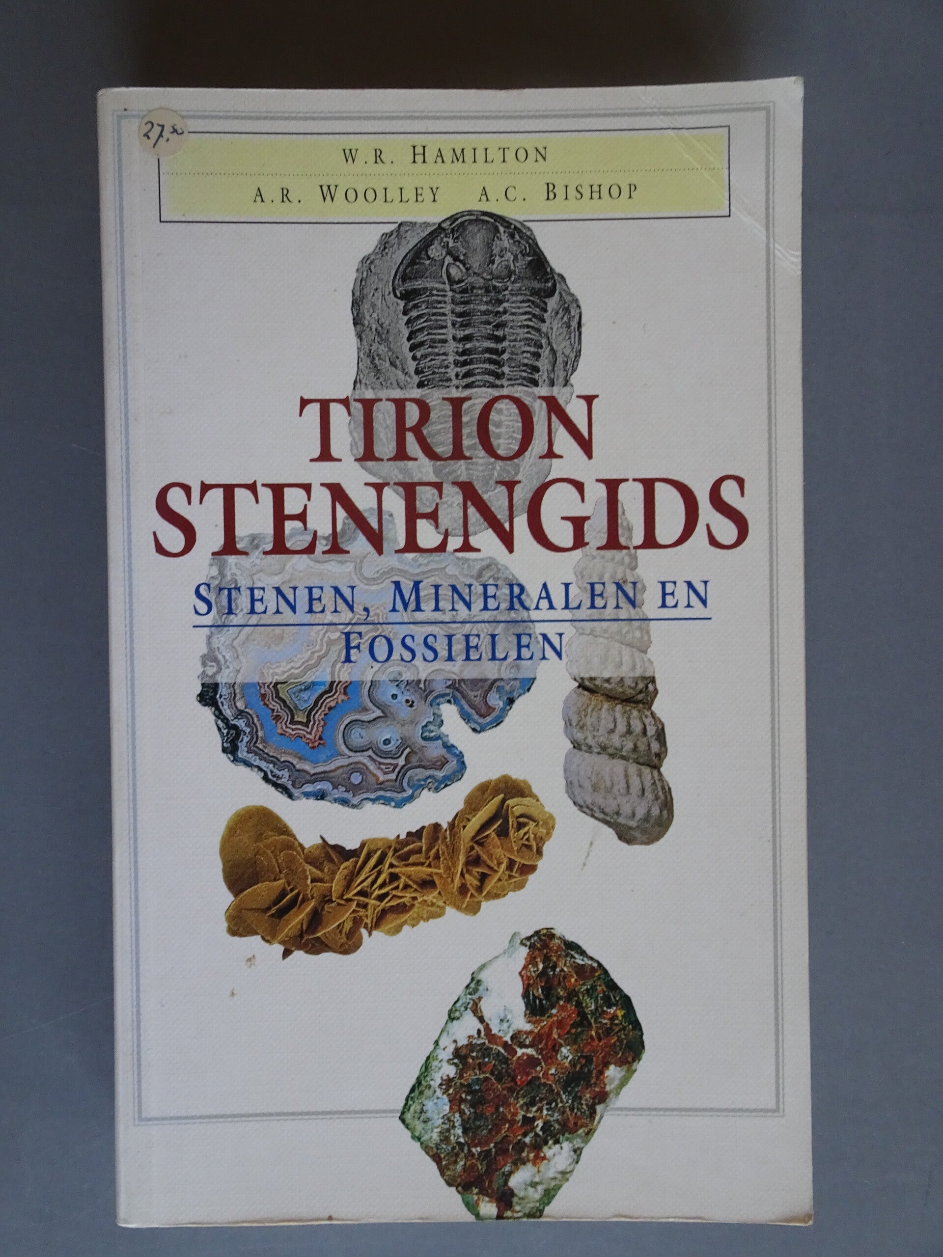 EON - Tirion Stenengids