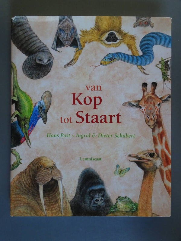 KIN - Van kop tot staart