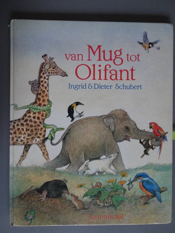 Van Mug tot Olifant