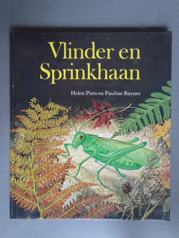 KIN - Vlinder en sprinkhaan