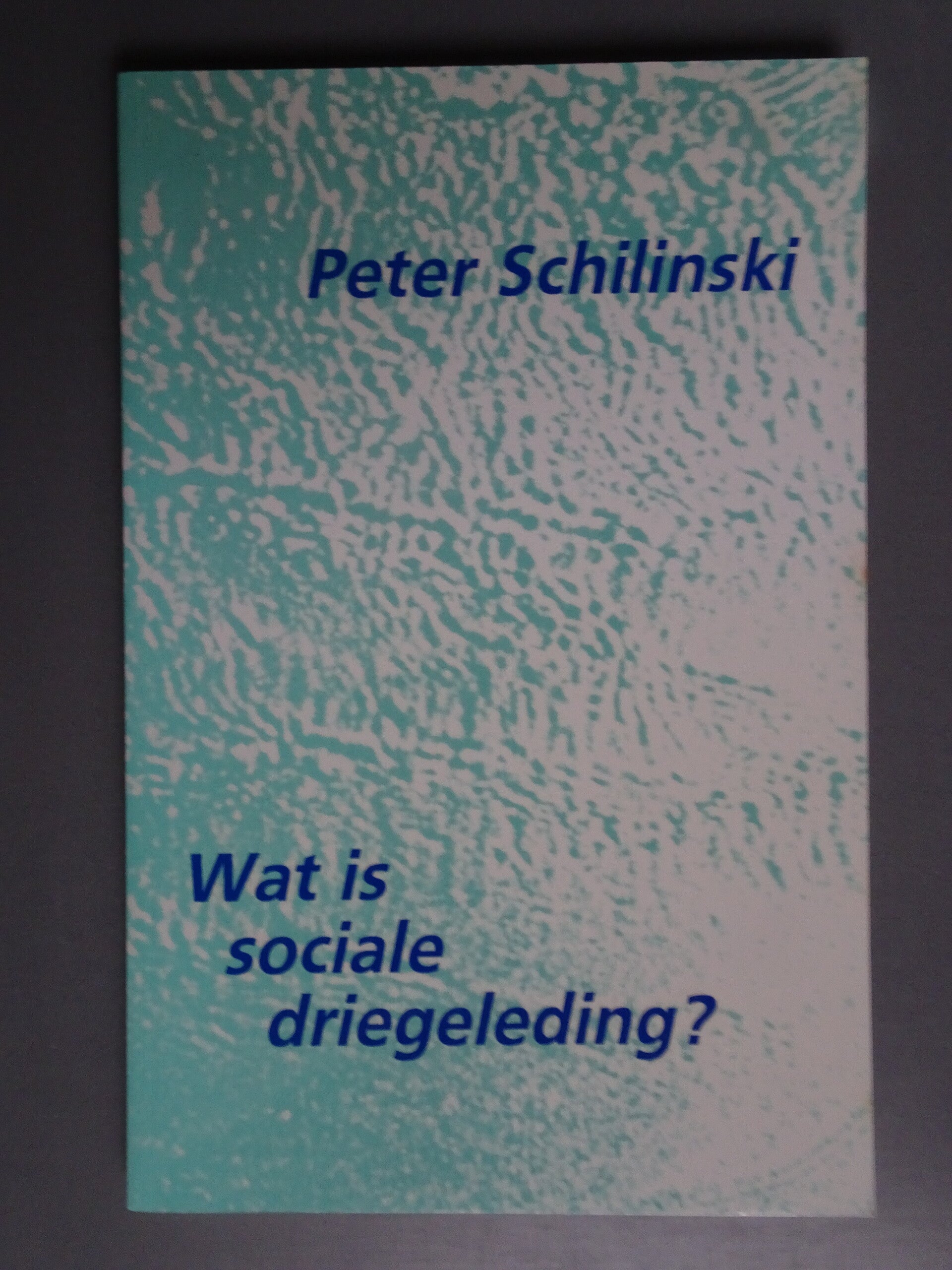 SPI - Wat is sociale driegeleiding?
