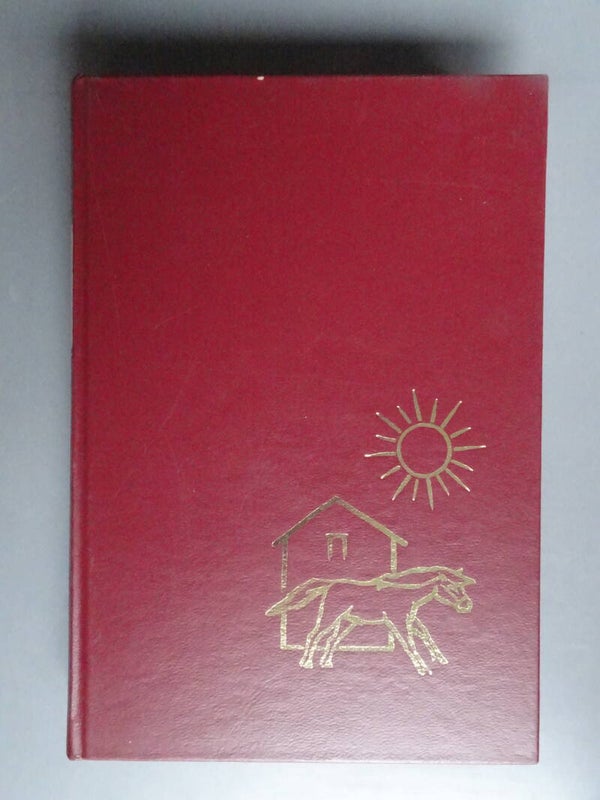 JBM - Zon over de Ponyhof