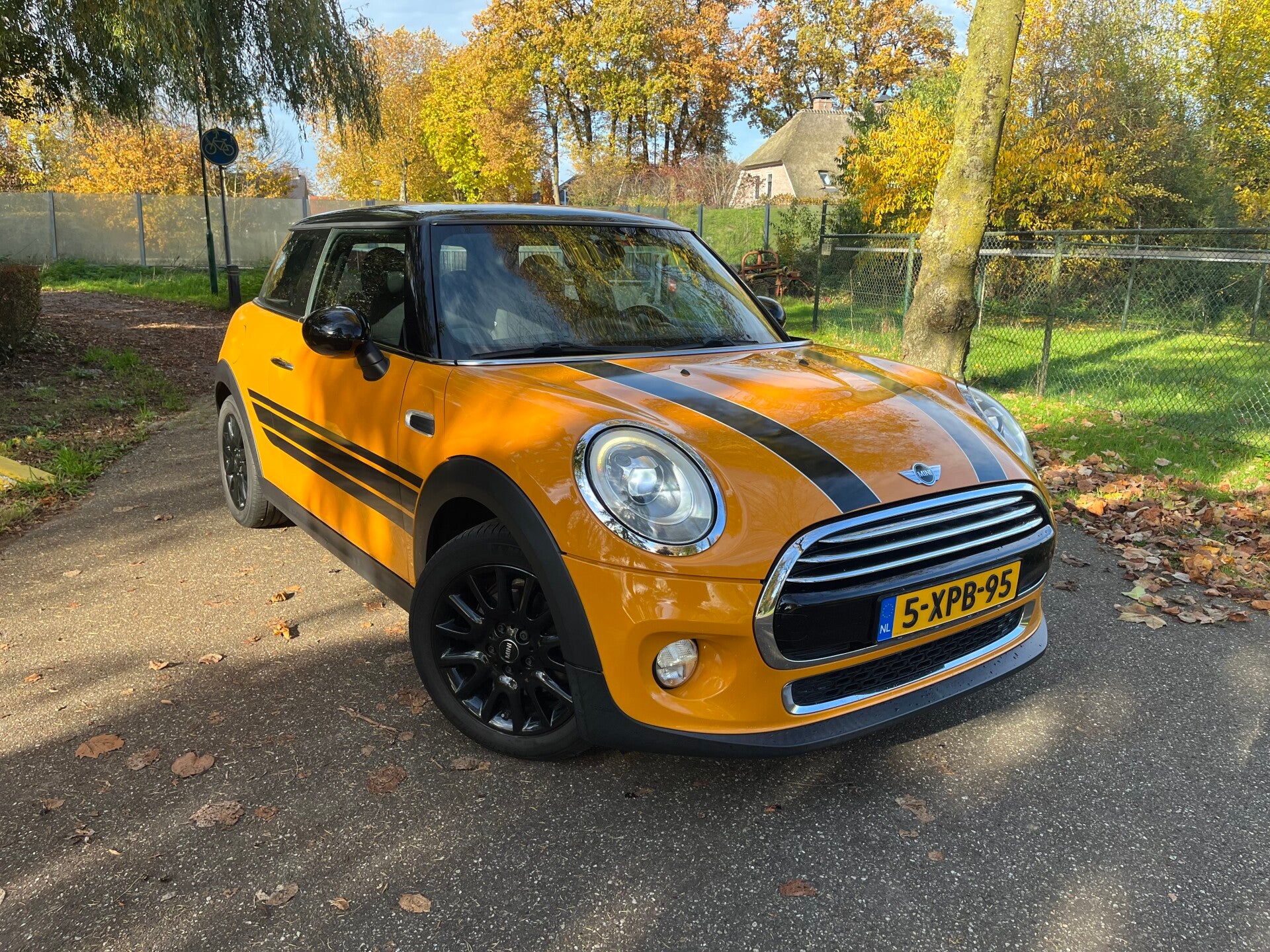 Mini Cooper 1.5 First Born Edition