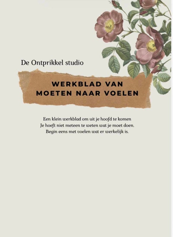 Aanvullend werkblad van moeten naar voelen