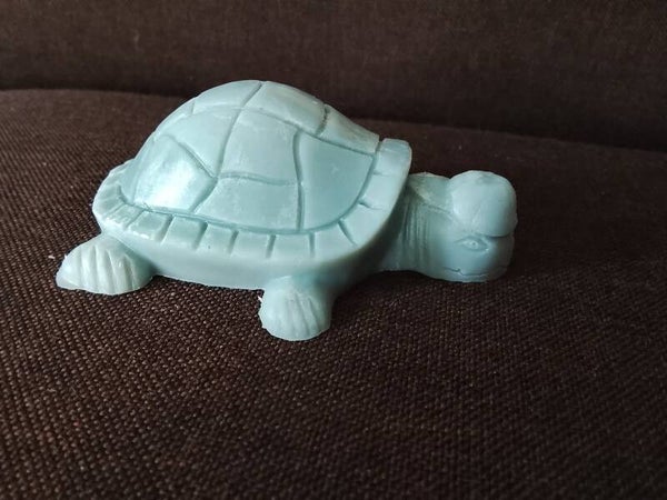 Tortue
