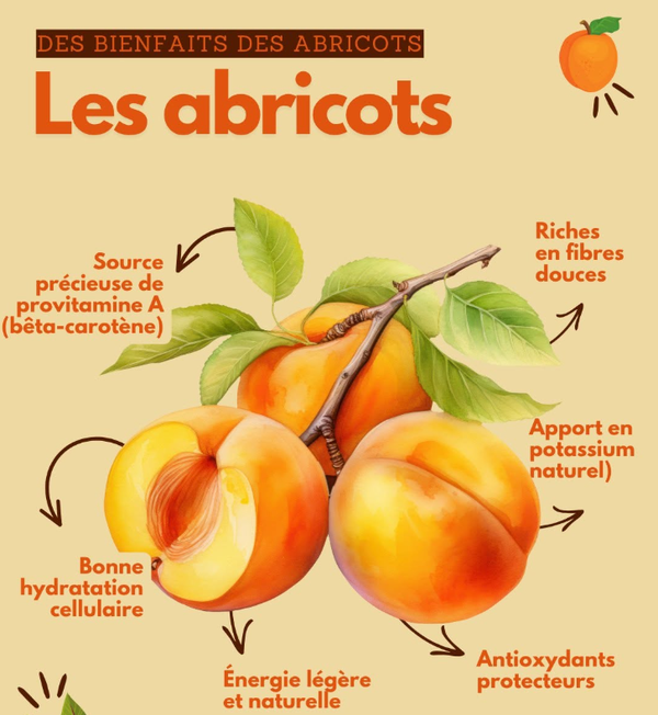 Abricotier