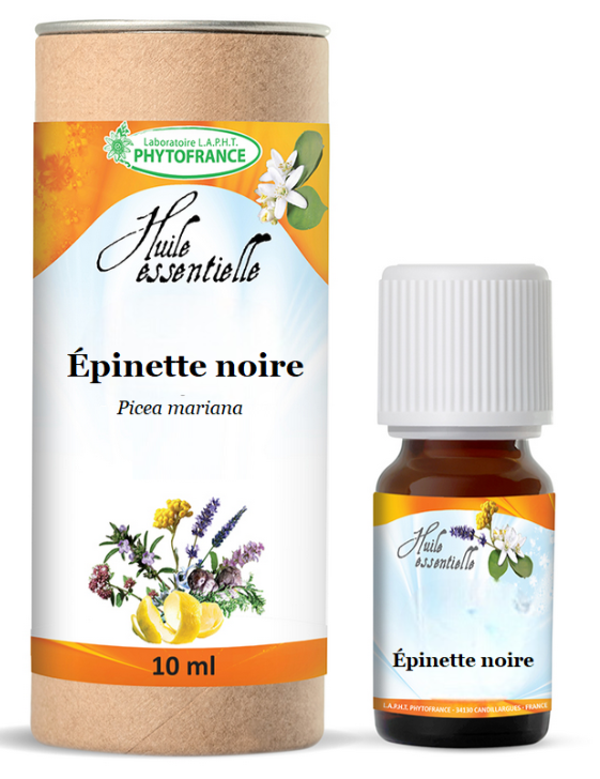 Epinette Noire