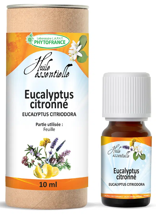 Eucalyptus Citronné