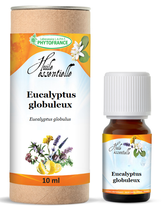 Eucalyptus Globuleux