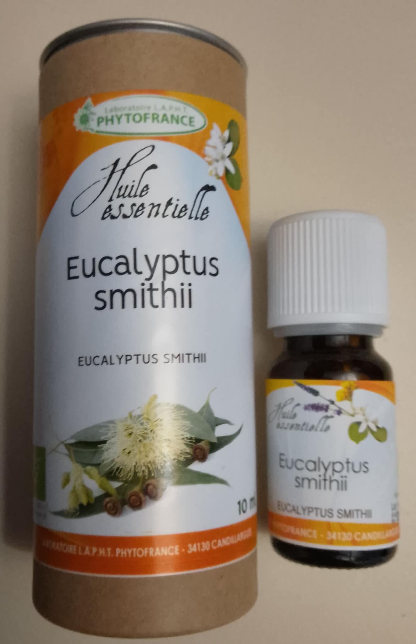 Eucalyptus Smithii
